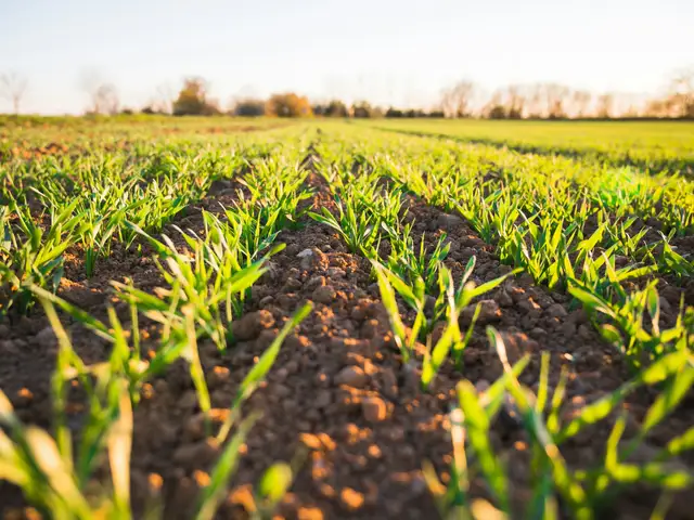 SmartAgri Data